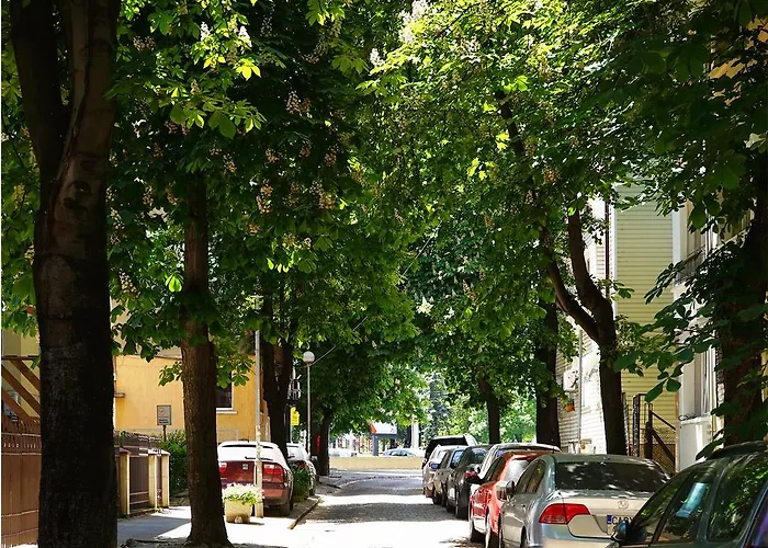 Karina Art Mountain View Lejlighed